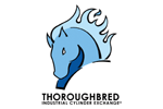 Thoroughbred